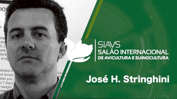 Avelive entrevista com José H. Stringhini - Plataforma de vídeos do agronegócio - Agroflix